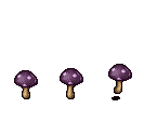 Magic Mush